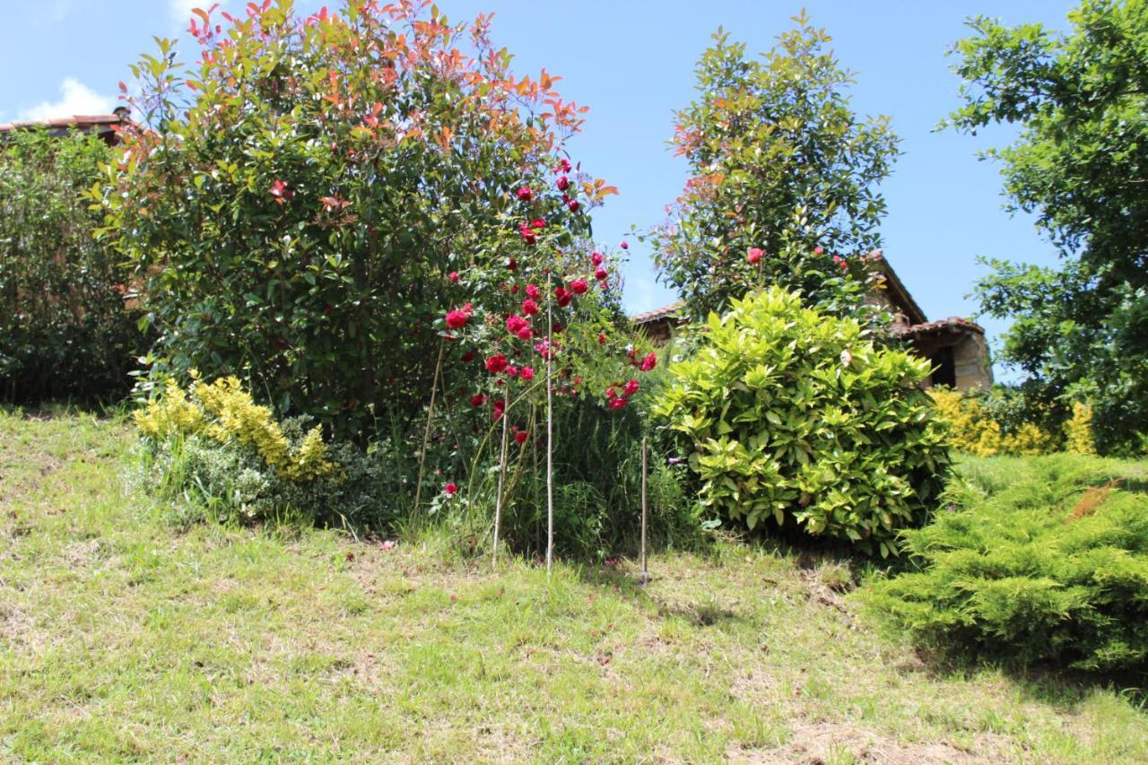 Villa El Refugio De Luena San Miguel de Luena Exterior foto